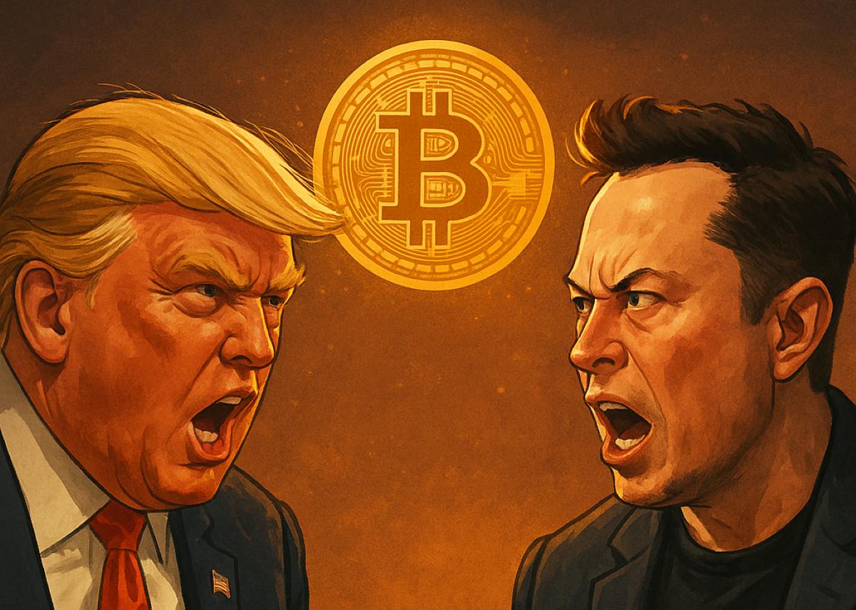 Musk Hints At Bitcoin Party As Trump Responds, Btc Bull Surges-Bitrabo Musk Hints At Bitcoin Party As Trump Responds, Btc Bull Surges