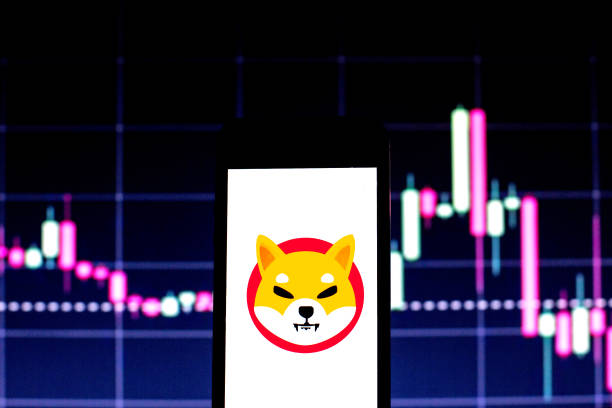Shiba Inu Insights: Altcoin Season And Shib’S Future