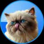 Mr Miggles ($MIGGLES)