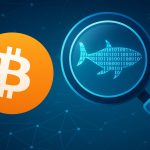 80K Bitcoin Whale Identity Uncovered? MyBitcoin Wallets Linked To Recent Transfer