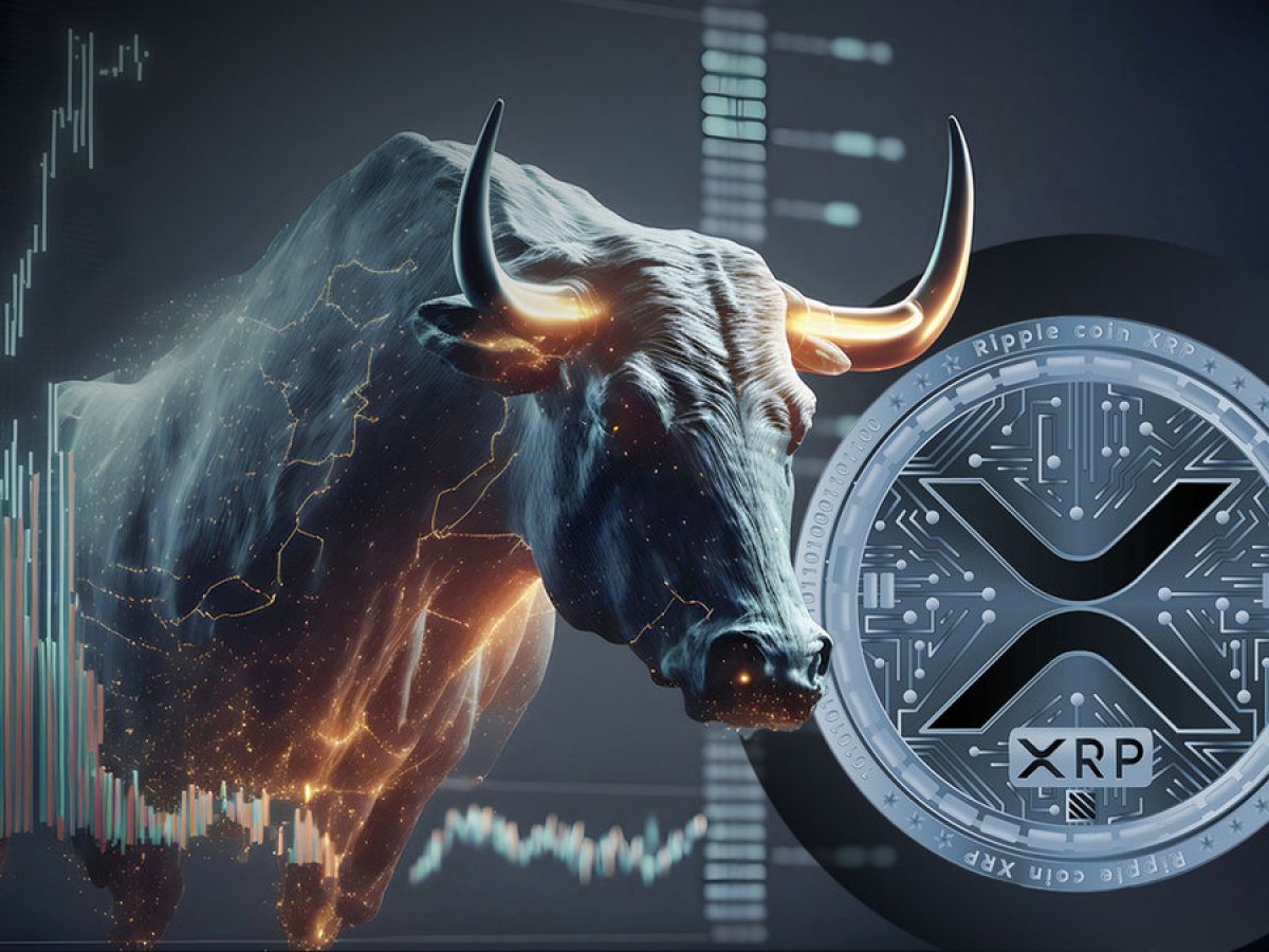 Xrp Bull Run Continues: Discover The Key Reasons Now