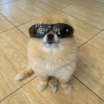 Don’T Miss $Kori Listing On Mexc Exchange September 12, 2025