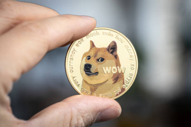Dogecoin Whales: Weekly Purchase Surge Revealed-Bitrabo Dogecoin Whales: Weekly Purchase Surge Revealed