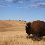 North Dakota