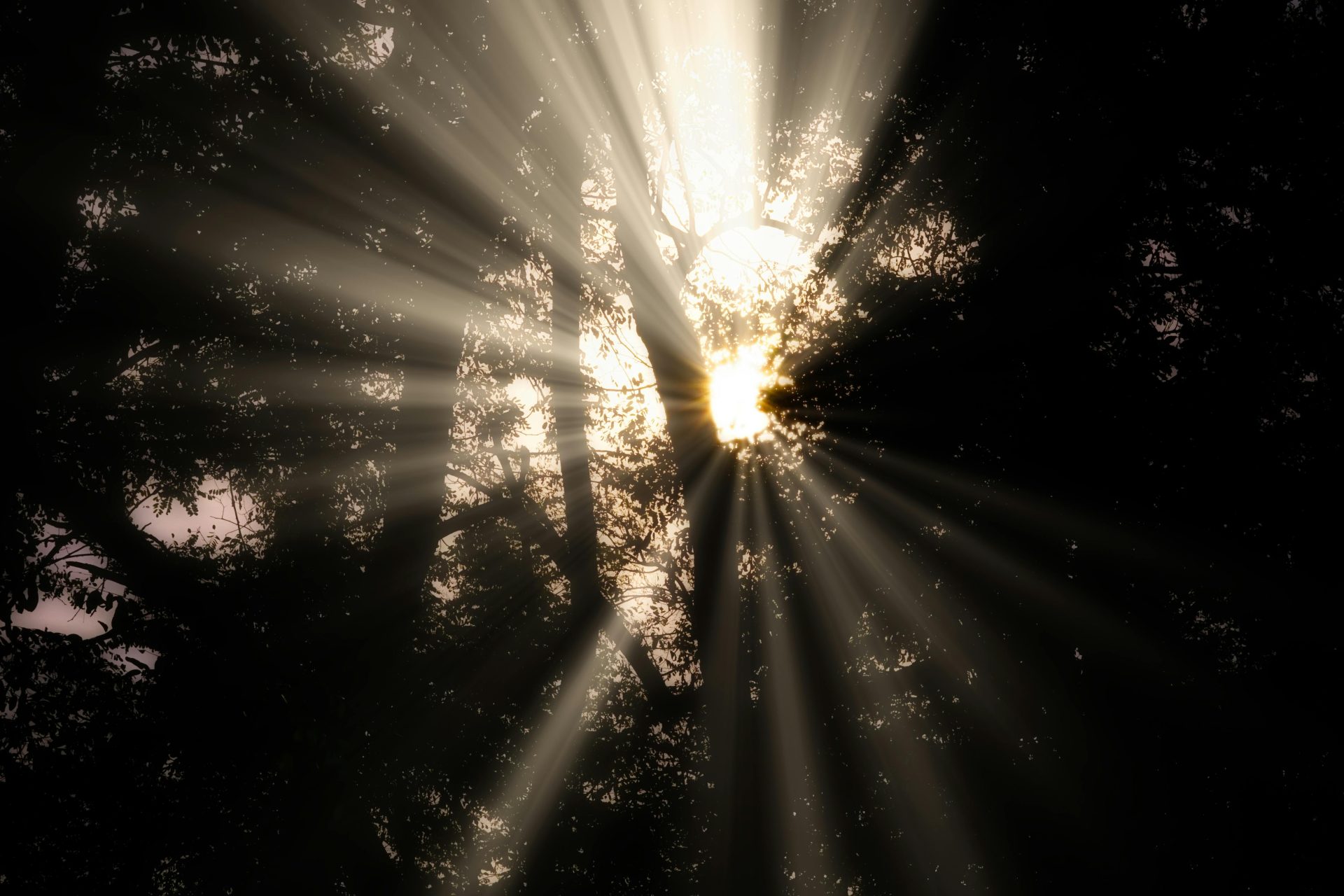 Bitcoin Jesus Resolves $48M Tax Fraud Saga Now