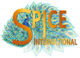 Seoul 2025: Join The Spice International Experience Now