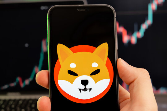 Shiba Inu Bear Market Insights: What Lies Ahead-Bitrabo Shiba Inu Bear Market Insights: What Lies Ahead