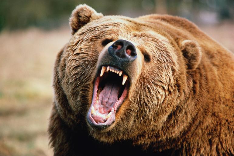 Analyst Claims Strategy Makes Bitcoin Resilient To Bears-Bitrabo Analyst Claims Strategy Makes Bitcoin Resilient To Bears