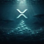 XRP Whales