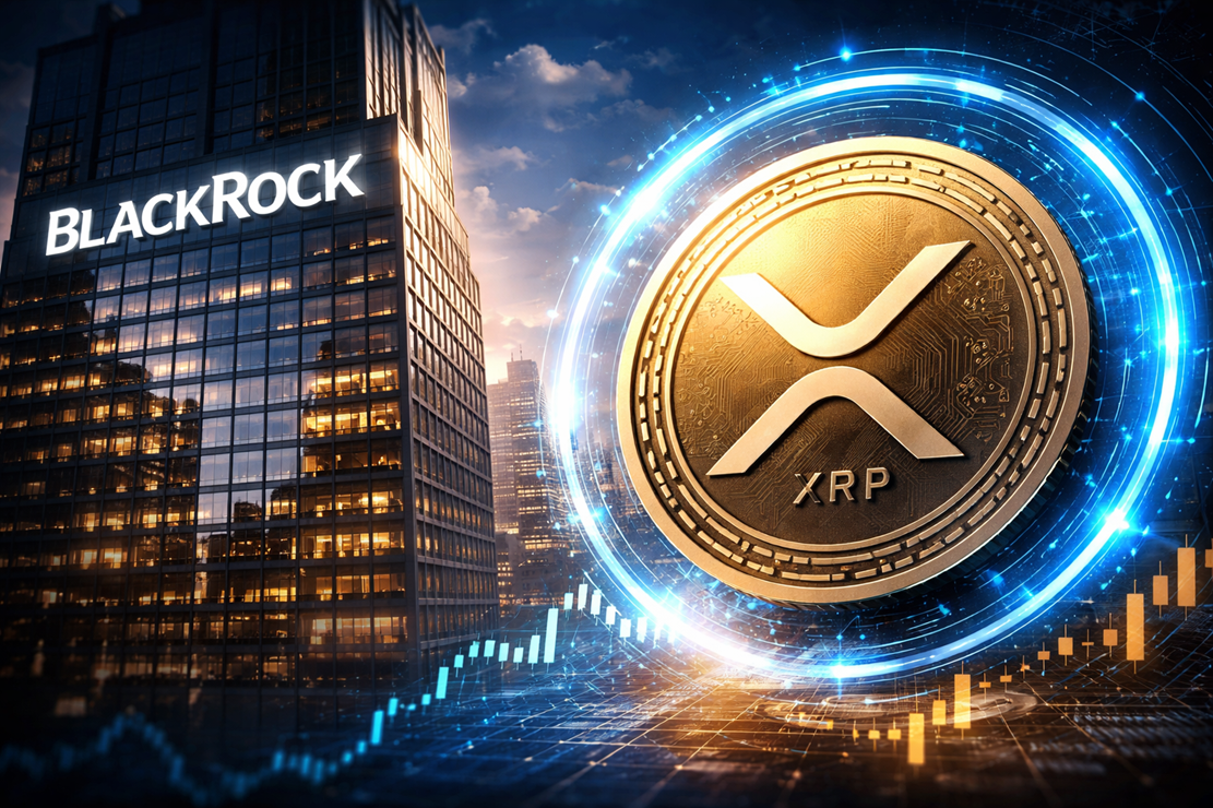Canary Ceo Predicts Blackrock Xrp Etf By Late 2026-Bitrabo Canary Ceo Predicts Blackrock Xrp Etf By Late 2026