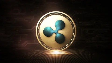 Xrp'S Origins Exposed By Former Ripple Executive-Bitrabo Xrp’S Origins Exposed By Former Ripple Executive