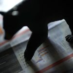 Why This Bitcoin Bear Market Is Among The Worst Ever: CryptoQuant Researcher