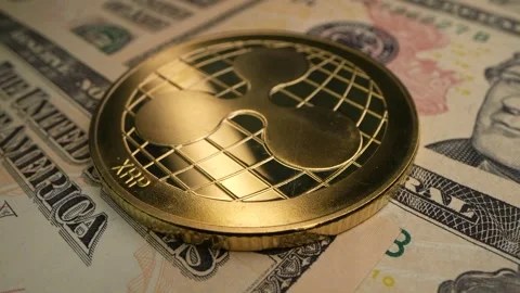 XRP Spot ETFs Surge as Wall Street Takes Notice