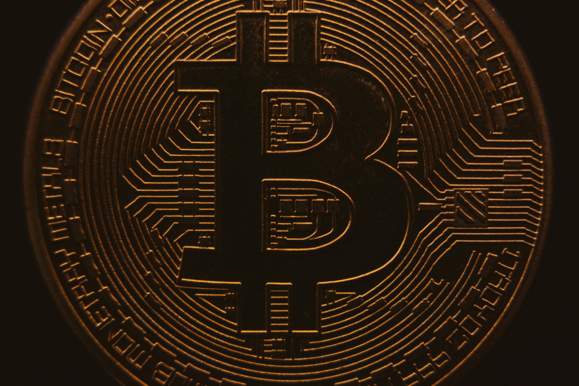 Bitcoin Dominates Crypto Market as Altcoins Plummet 50%