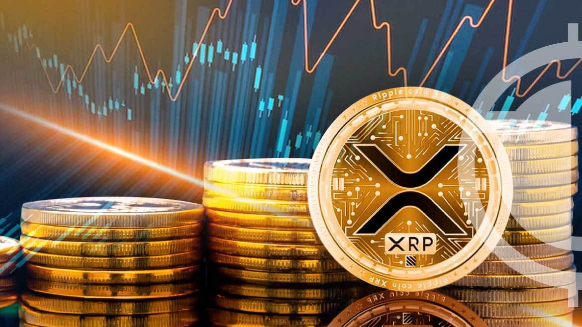 XRP Investors in Denial: Key Insights You Must Not Ignore