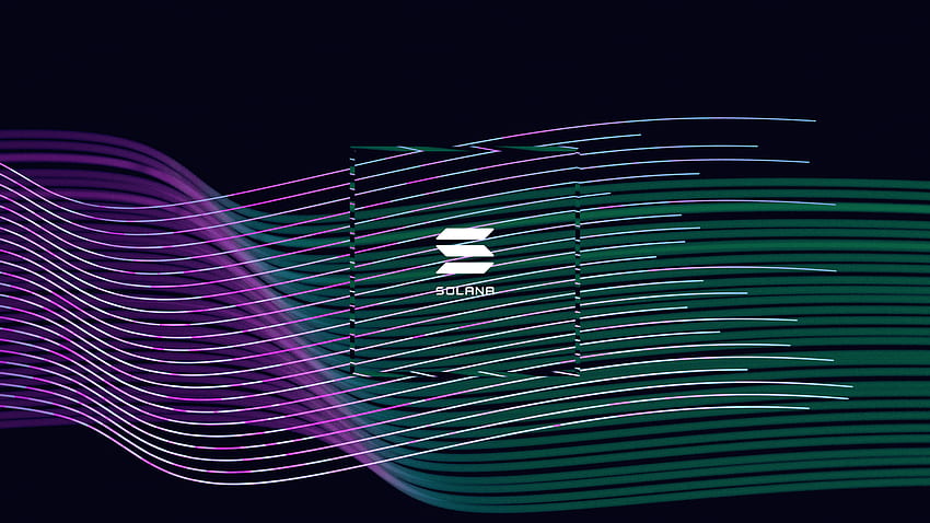 Solana Leads Daily Transactions, Surpassing Major Blockchains