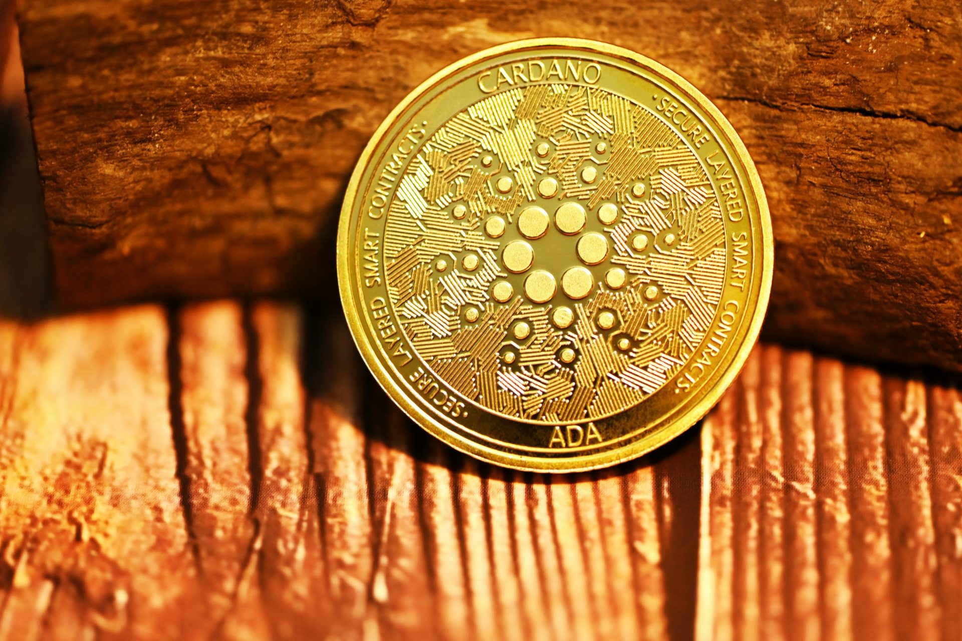 Cardano’s Future: Is a Price Surge Around the Corner?