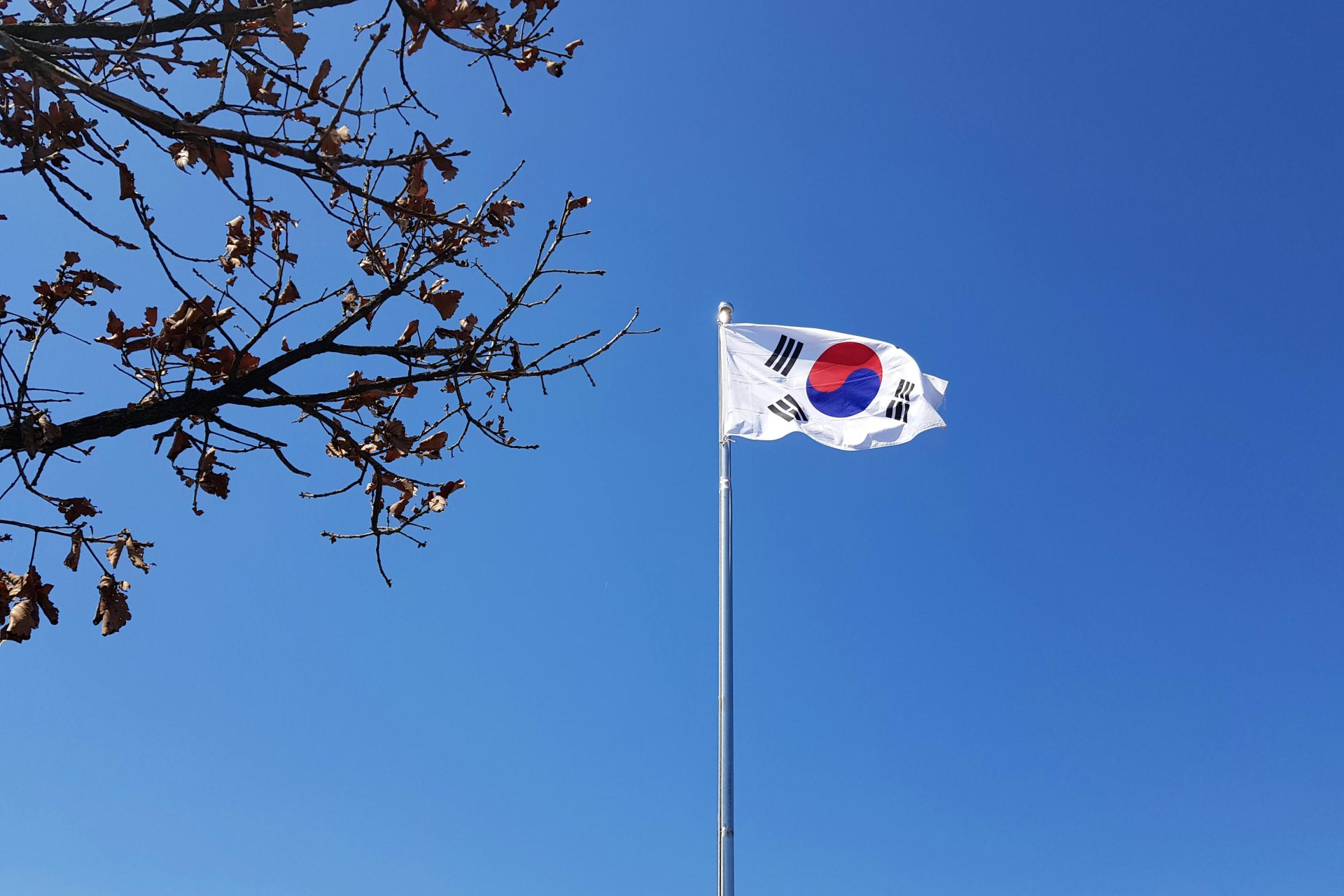 South Korea Develops AI Tax Tracker Amid Crypto Tax Shift