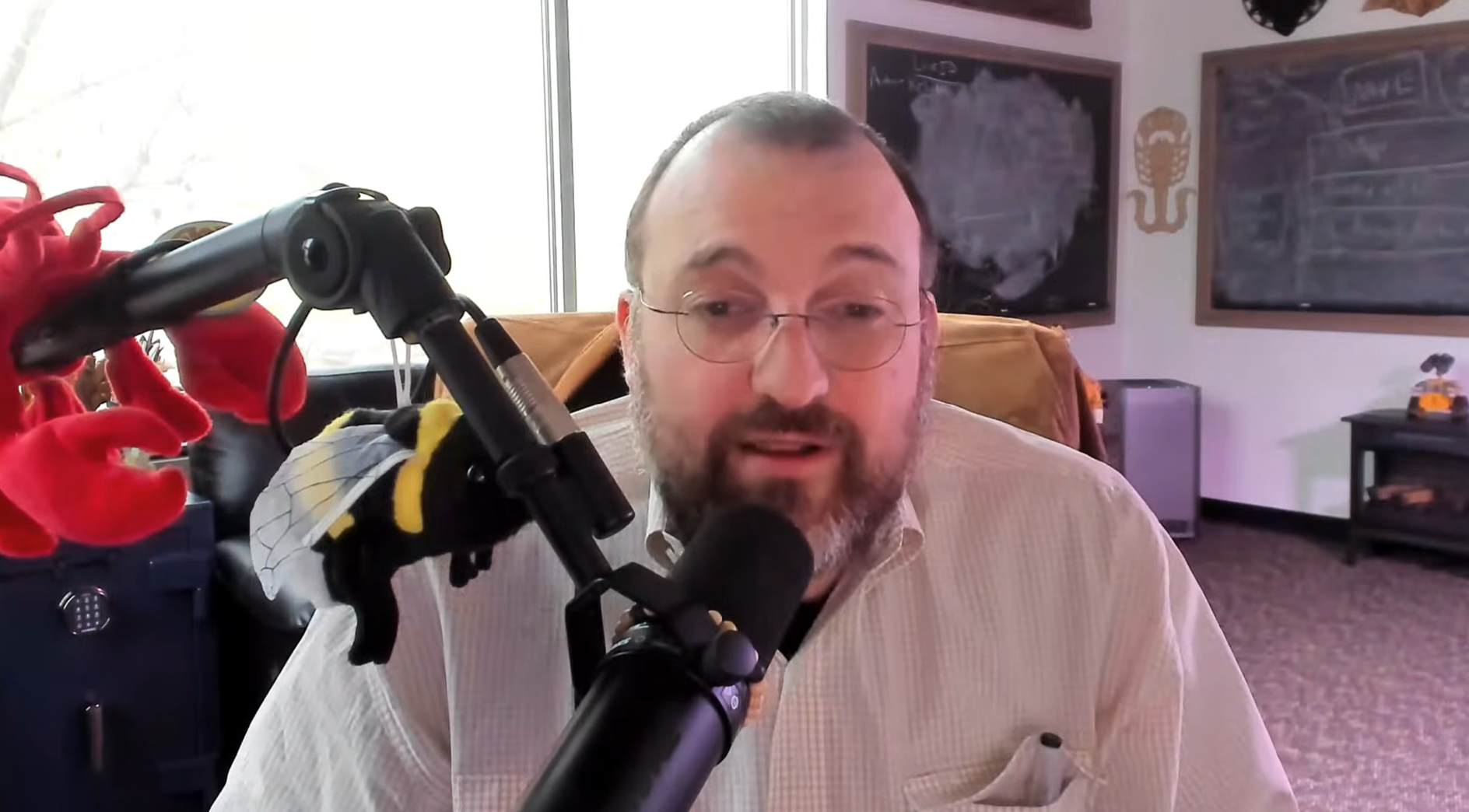 Cardano Founder Reveals Midnight Launch Plan Now Live