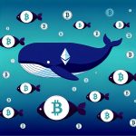 Crypto Whales: How They Influence Market Movements