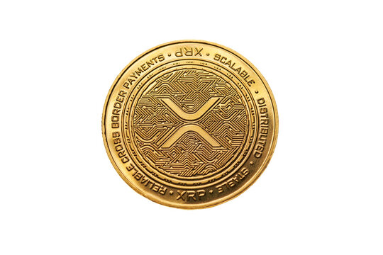 Discover What Google Revealed About XRP Now