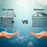 Crypto Custody Risks: Self Custody vs Exchanges