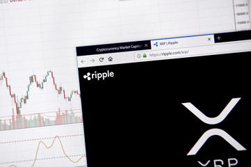 XRP Ledger Transaction Spike Reveals Key Insights Now