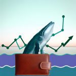 The Impact of Whale Wallets on Market Trends