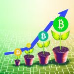 The Role of Crypto in Digital Economy Expansion