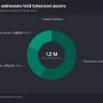 Next Phase Of The Crypto Market Could Experience The Biggest Wealth Transfer