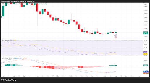 Analyst Presents Realistic Outlook on XRP’s Future