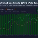 Bitcoin Sees Smart-Money Accumulation As Retail Sells Into Rally