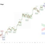 Is The Bitcoin Bottom In After Showing A Total Of 7 Bear Flags?