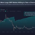 XRP Network Sets New Record: 10,000+ Token Wallets At Highest Ever