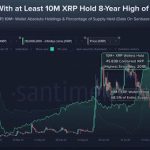 XRP Whales Have Just Set An 8-Year Record, Is This The Start Of The Next Bull Run?