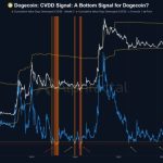 Is Dogecoin Near A Bottom? This Key Metric Is Offering New Clues On The Matter