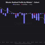 Newbie Bitcoin Whales Took $1.77 Billion In Loss During Price Crash: Data