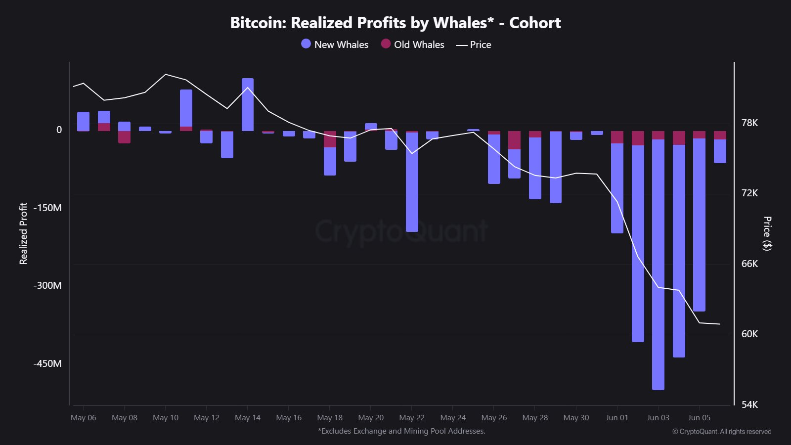 Bitcoin Whales Experienced $1.77 Billion Loss in Price Drop