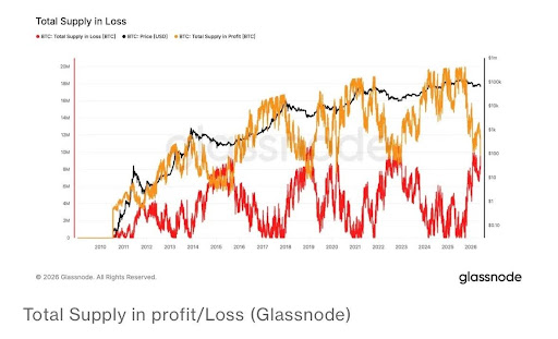 Bitcoin Holdings Show Significant Losses: Analyzing Trends