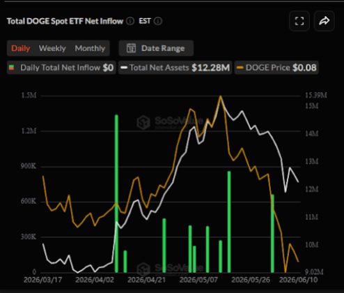 Is Dogecoin Reviving with the SpaceX IPO?