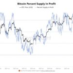Bitcoin Market Faces A Potential Profitability Reset As More Coins Slip Out Of Profit