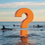 What Are Bitcoin (BTC), Ethereum (ETH), and XRP Whales Doing While the Market is Sideways? “Whales’ Preferences Have Changed!”