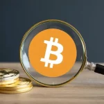 Fidelity Executive Jurrien Timmer Unveils New Portfolio Model! What Percentage Does Bitcoin Hold?