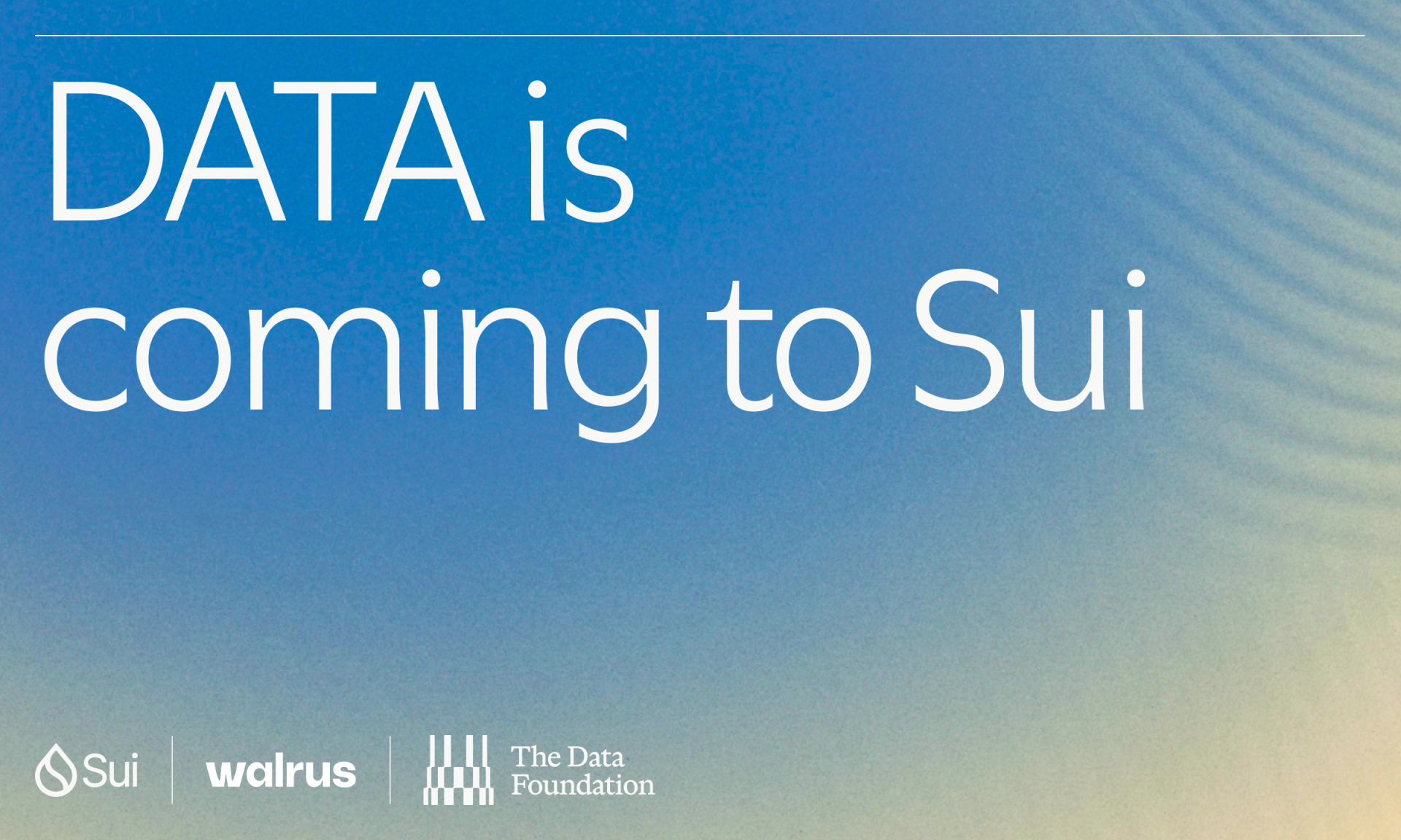 DATA Network partners with Sui and Walrus for AI training data